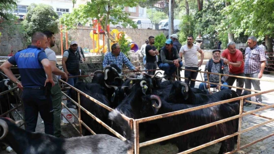 Bozdoğan Belediyesi'nden Kurban Bayramı öncesi satış yeri hizmeti