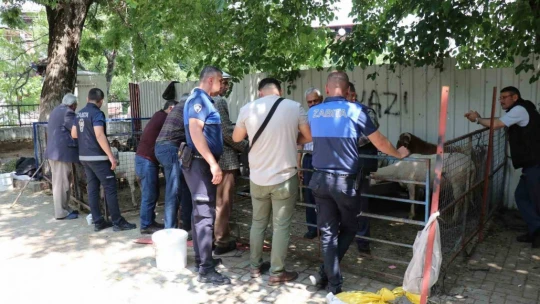 Bozdoğan Belediyesi'nden Kurban Bayramı öncesi satış yeri hizmeti