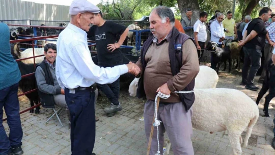 Bozdoğan Belediyesi'nden Kurban Bayramı öncesi satış yeri hizmeti