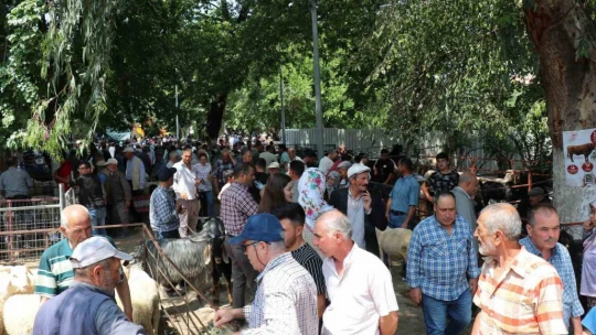 Bozdoğan Belediyesi'nden Kurban Bayramı öncesi satış yeri hizmeti