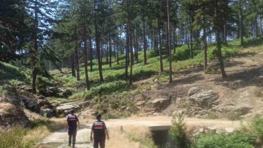 Bozdoğan'da 'orman yangını' devriyesi