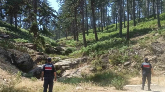 Bozdoğan'da 'orman yangını' devriyesi