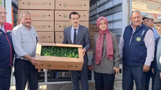 Bozdoğan'da 60 bin turşuluk biber fidesi dağıtıldı