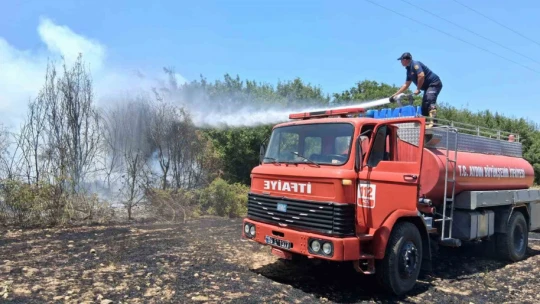 Bozdoğan'da arazi yangını