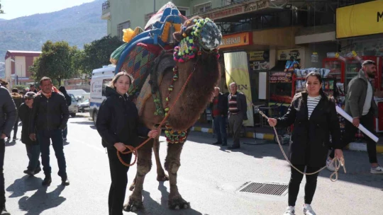 Bozdoğan'da Deve Güreşi Fesivali öncesi renkli kortej