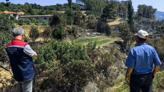 Bozdoğan'da hasar tespit çalışmaları başladı
