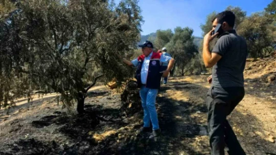 Bozdoğan'da hasar tespit çalışmaları başladı