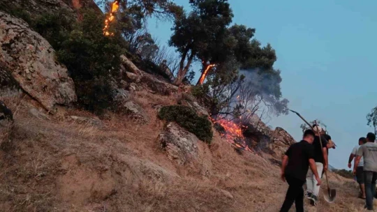 Bozdoğan'da makilik yangınına yoğun müdahale