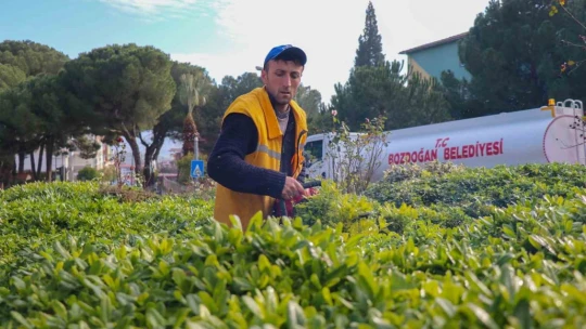 Bozdoğan'da mevsimlik çiçeklerin dikimi yapıldı