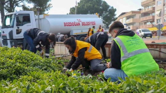 Bozdoğan'da mevsimlik çiçeklerin dikimi yapıldı