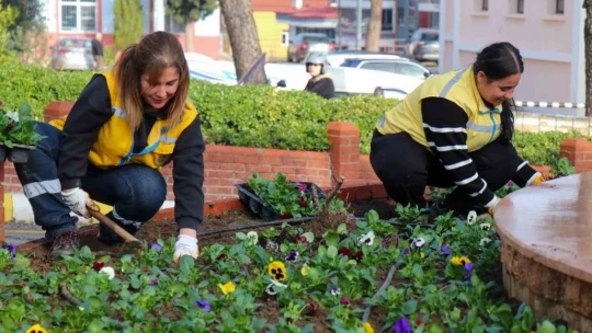 Bozdoğan'da mevsimlik çiçeklerin dikimi yapıldı