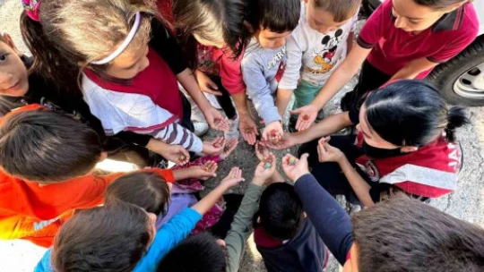 Bozdoğan'da öğrencilere ağaç sevgisi aşılandı, tohum topları ormanlara bırakıldı
