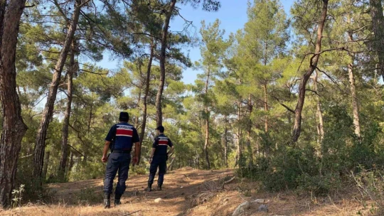Bozdoğan'da ormanlar gözetleniyor