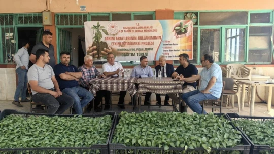 Bozdoğan'da üreticilere turşuluk fide dağıtıldı