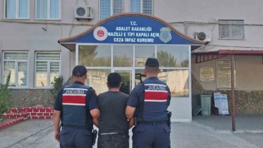 Bozdoğan'da uyuşturucu operasyonu: 'Ormanlık alanda kenevir yetiştirmiş'