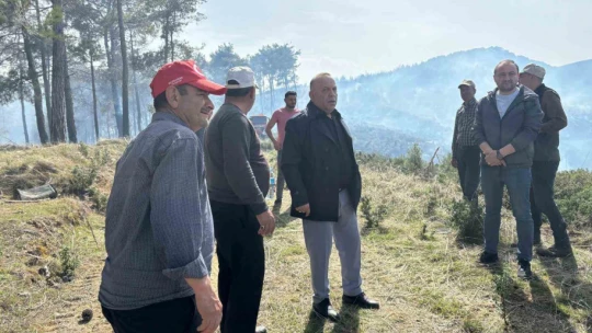 Bozdoğan'daki orman yangını kontrol altına alındı