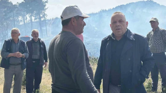 Bozdoğan'daki orman yangını kontrol altına alındı