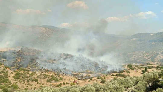 Bozdoğan'daki yangın kontrol altına alındı