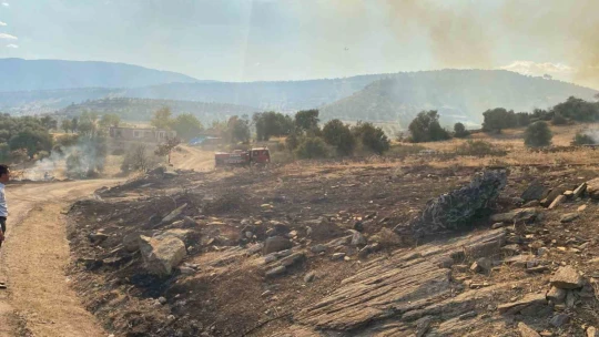Bozdoğan'daki yangın kontrol altına alındı