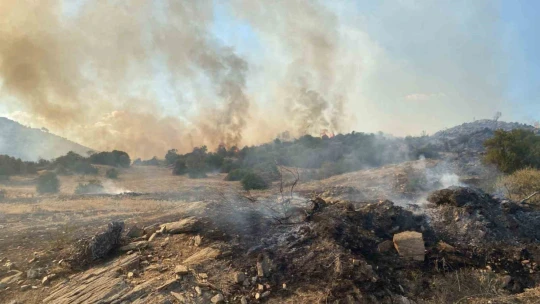 Bozdoğan'daki yangın kontrol altına alındı