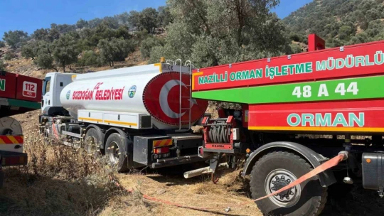 Bozdoğan'daki zirai alan yangını söndürüldü