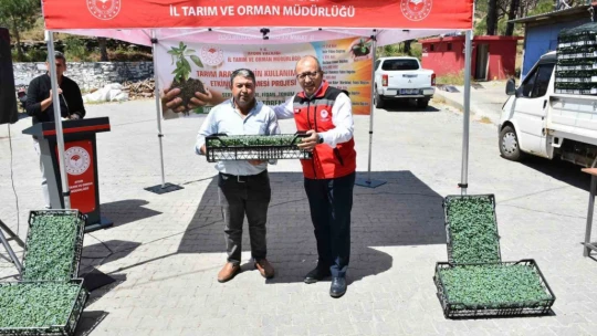 Bozdoğan domates üretim üssü olacak