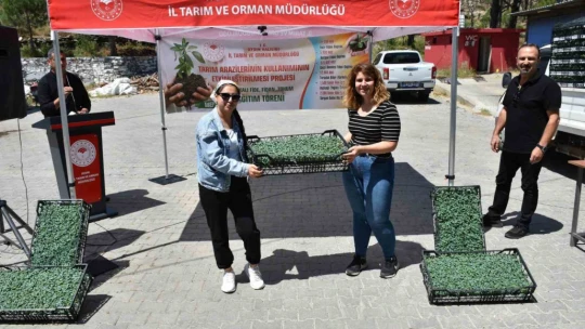 Bozdoğan domates üretim üssü olacak