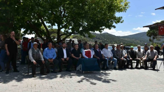 Bozdoğan domates üretim üssü olacak