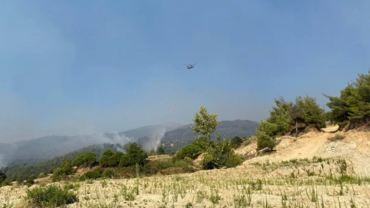 Bozdoğan orman yangını 19'uncu saatinde