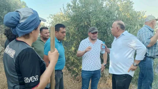 Bozdoğan orman yangınına müdahale sürüyor