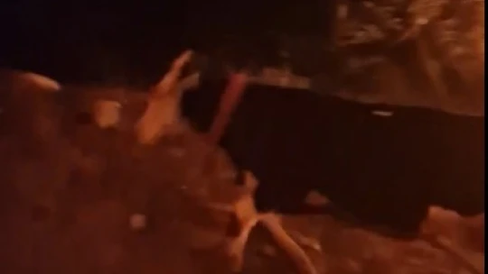 Bozdoğan yangını yerleşim yerlerini tehdit ediyor