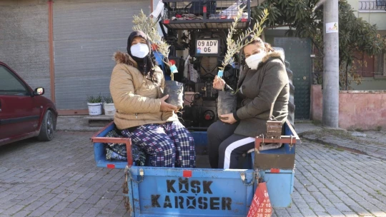 BŞB'nin fidanlarıyla Aydın'da zeytin ve incir ağaçları küllerinden doğacak