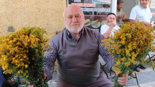 Bu çiçek hediye için değil sağlık için alınıyor