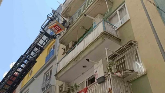 Bu kedi dokuz canlı: Kurtarmaya gelen itfaiyeciden korkup 4'üncü kattan atlayarak kaçtı