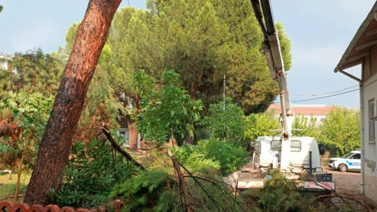 Buharkent Belediyesi'nden anında müdahale