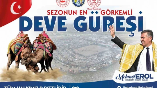 Buharkent Deve Güreşi için hazırlıklar tamamlanıyor