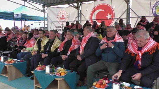 Buharkent deve güreşleri renkli görüntülere sahne oldu