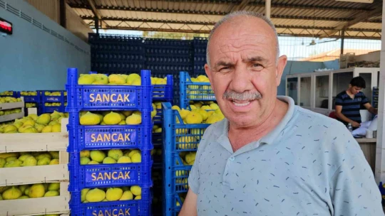 Buharkent'in taze incirinin sofralara yolculuğu sürüyor