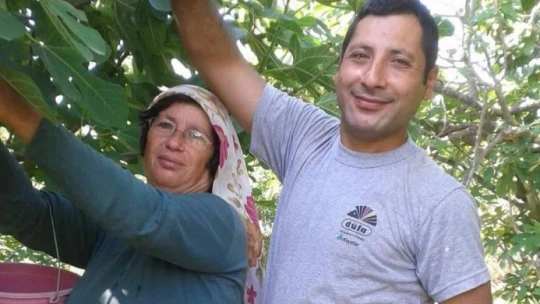 Buharkent, incir sezonuna hazırlanıyor