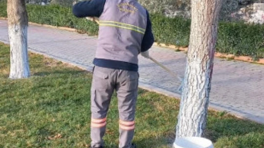 Buharkent Millet Bahçesi yaza hazırlanıyor