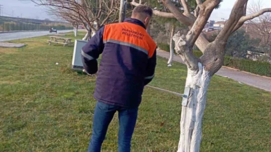 Buharkent Millet Bahçesi yaza hazırlanıyor