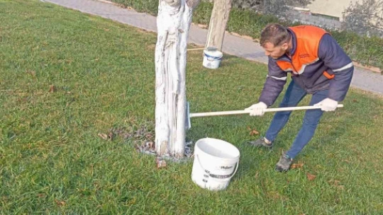 Buharkent Millet Bahçesi yaza hazırlanıyor