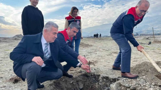 Buharkent'te 'Kaliteli İncir, Kaliteli İlek' projesi kapsamında fidan dikimi gerçekleştirildi