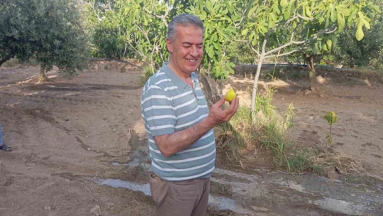 Buharkent'te 2 bin dönüm arazi modern sulamaya kavuştu