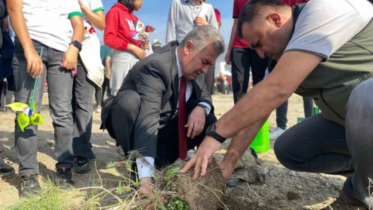 Buharkent'te ağaç fidanları toprakla buluştu