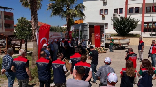 Buharkent'te domates fideleri üreticilere teslim edildi