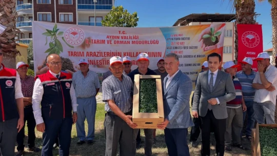 Buharkent'te domates fideleri üreticilere teslim edildi