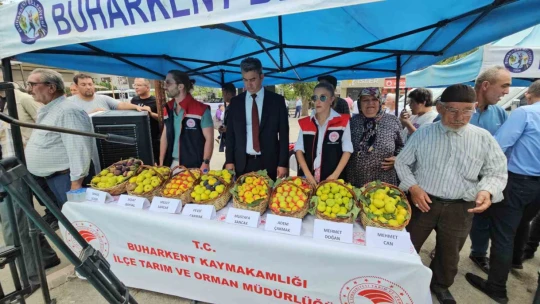 Buharkent'te festival coşkusu başladı