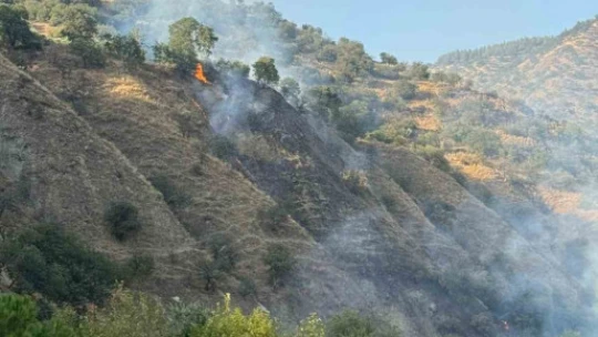 Buharkent'te orman yangını