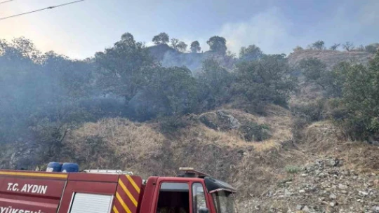 Buharkent'te orman yangını